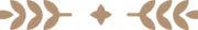 Image module